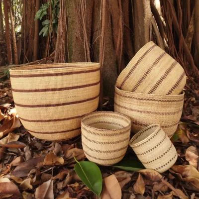 Cesta Wii - Povo Yanomami
