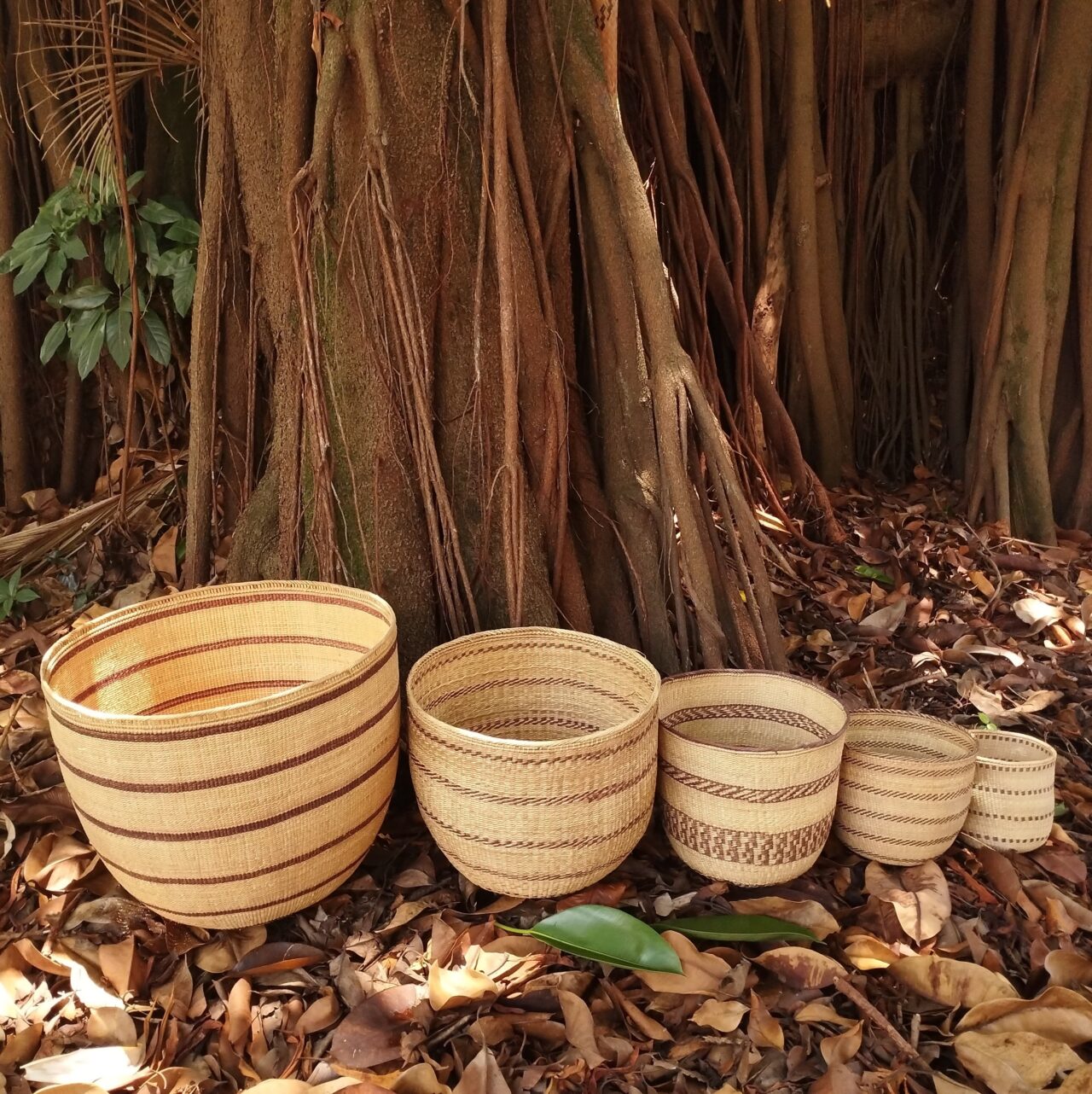 Cesta Wii - Povo Yanomami - Image 2