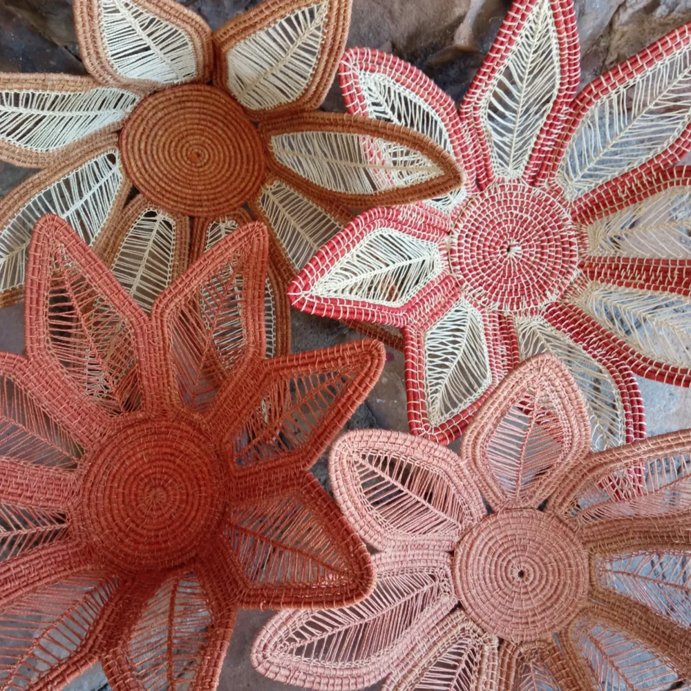 Fruteira Flor - Tucum - Imagem 2