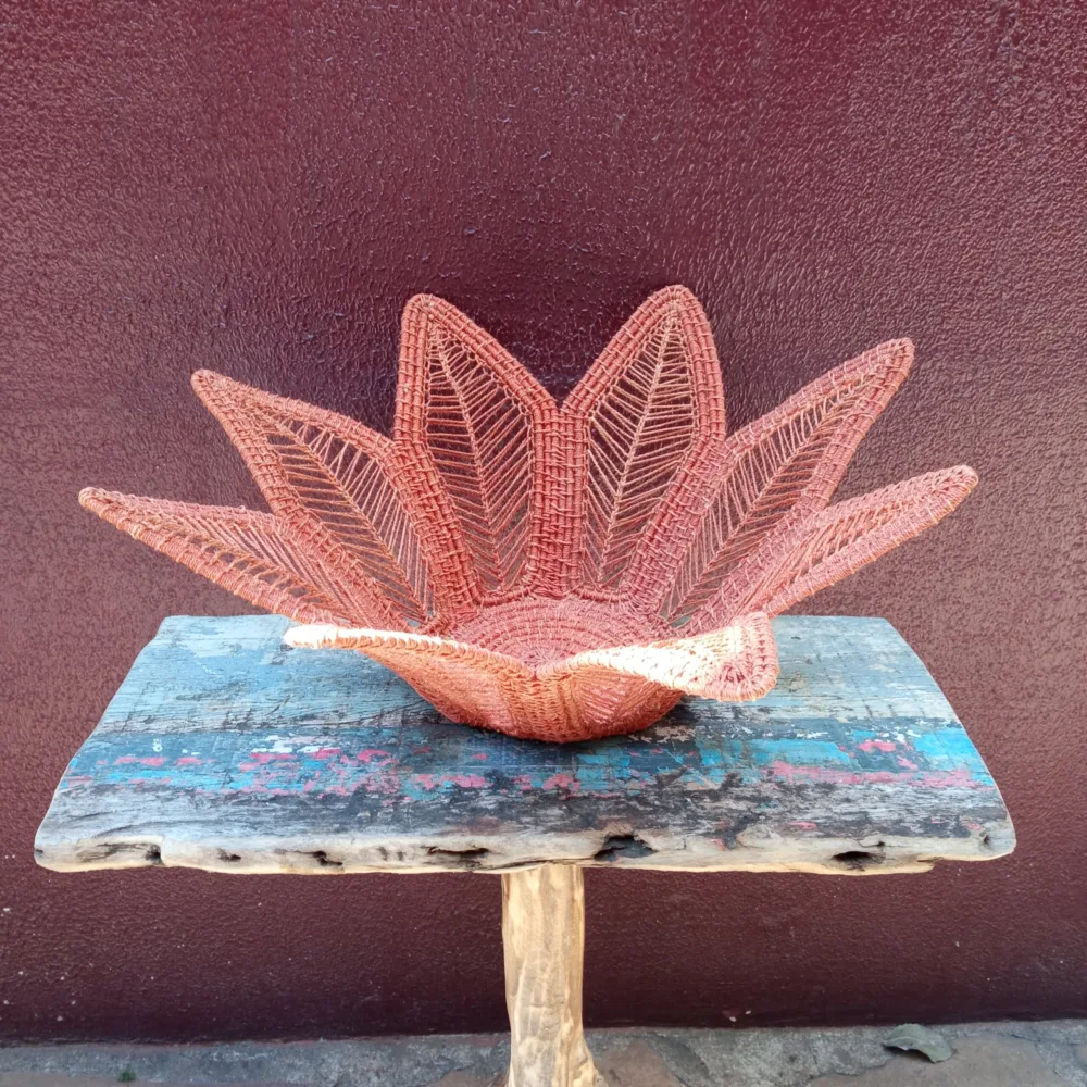 Fruteira Flor - Tucum - Imagem 5