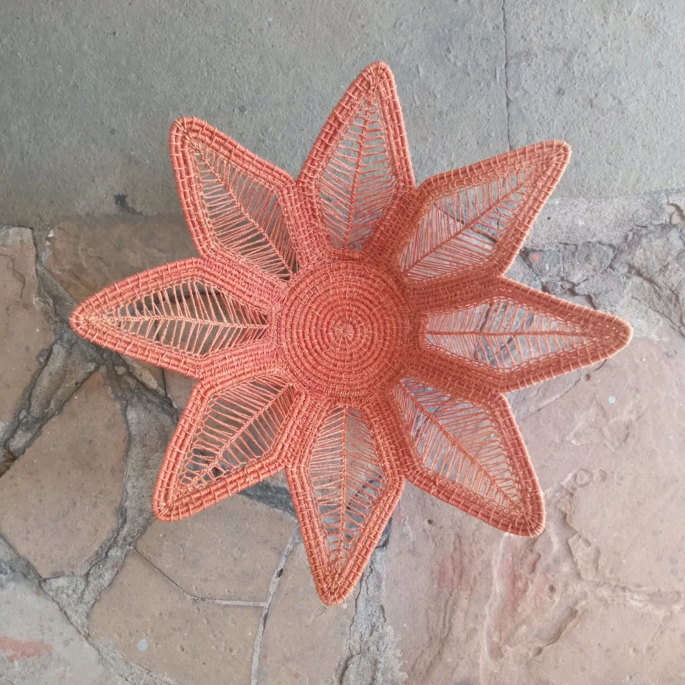 Fruteira Flor - Tucum - Imagem 3