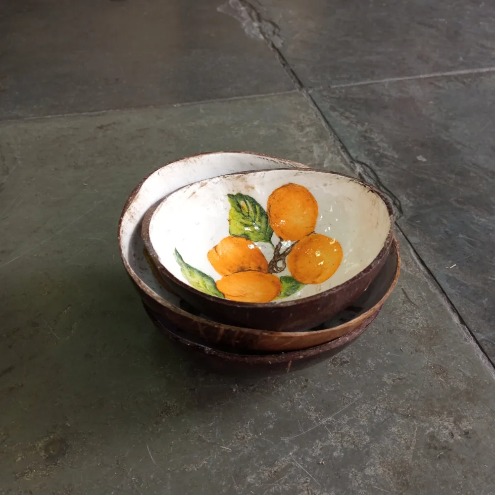 Cuia de Coco Decorada - Imagem 4
