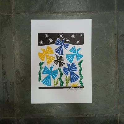 Xilogravura Bacaro Borges P - Pássaros