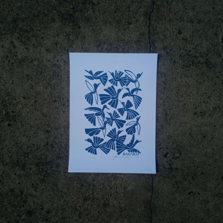 Xilogravura Bacaro Borges P - Passarinhos