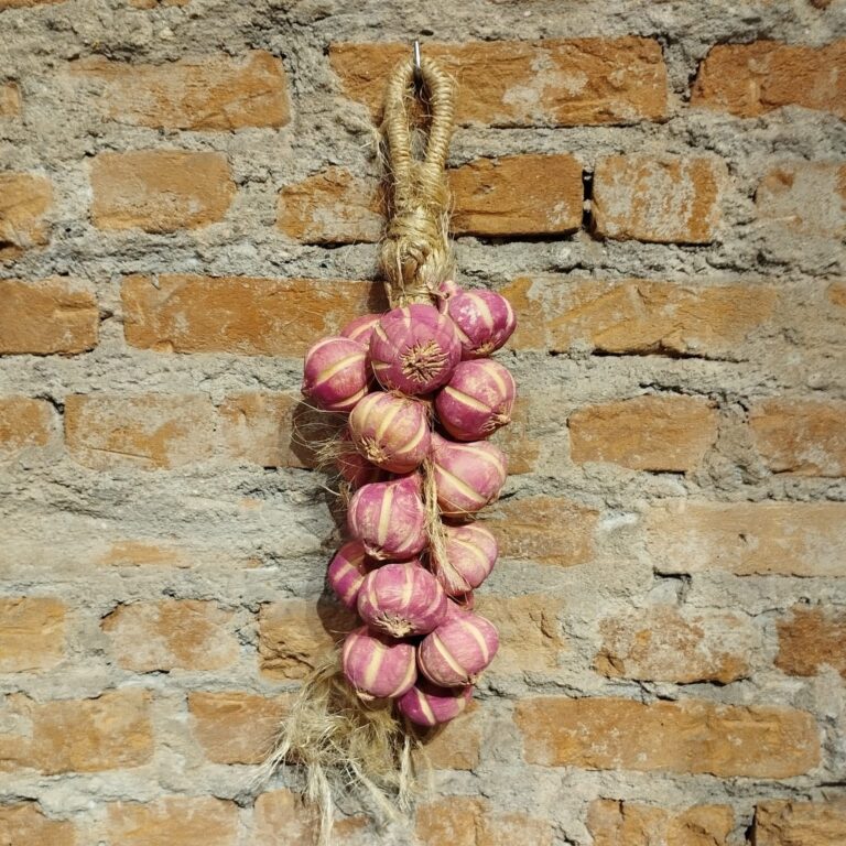 Penca de Frutas Cerâmica - Alho