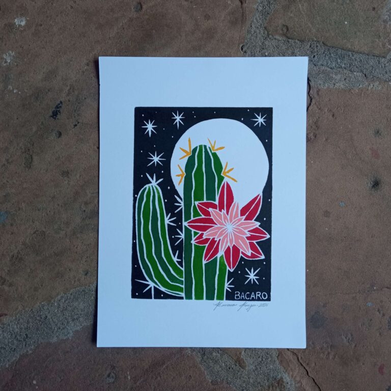 Xilogravura Bacaro Borges P - Fulô