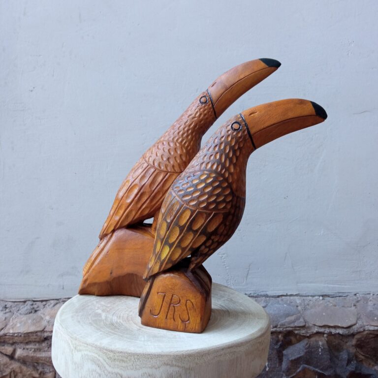 Entalhe Tucano - Seu Zé