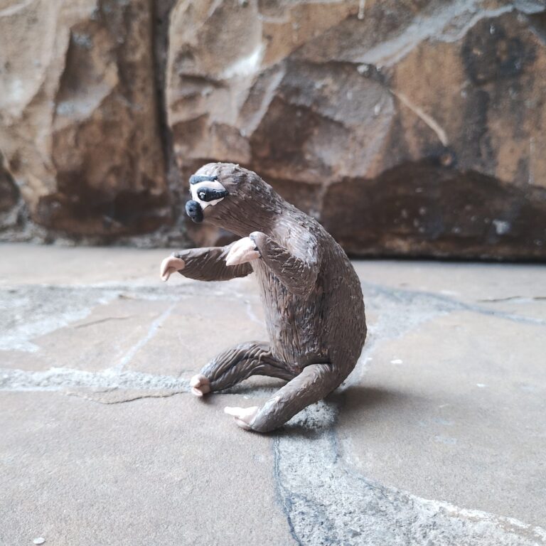 Bicho Balata - Bicho Preguiça - Povo Macuxi