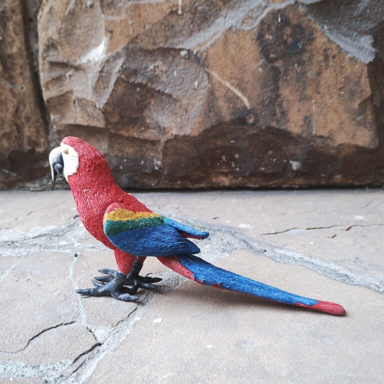 Bicho Balata - Arara - Povo Macuxi