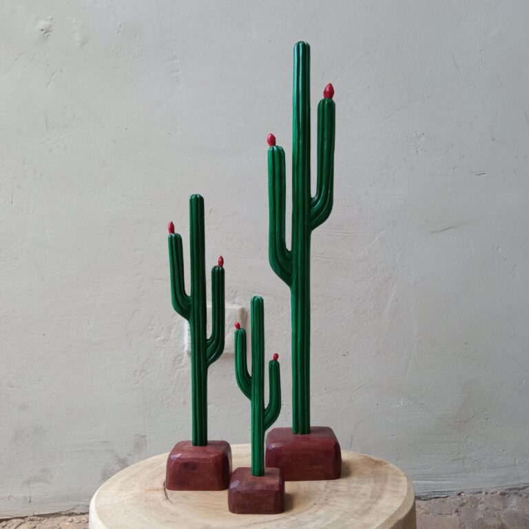 Mandacaru - Mestre Carlos