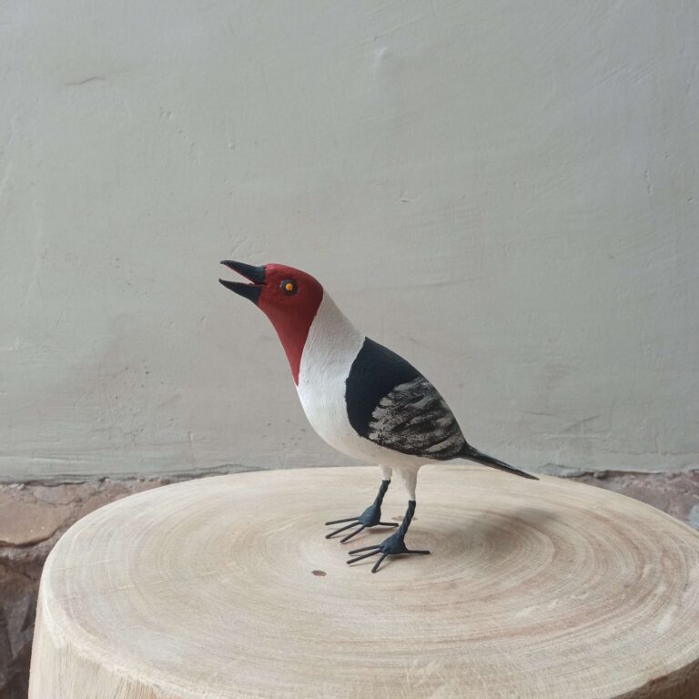 Entalhe Pássaro - Seu Zé