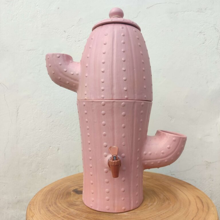 Filtro de Barro - Cacto G - Vale do Jequitinhonha